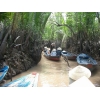 Shadow Canal in Mekong Delta